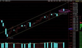 雨后彩虹爆料最新消息,最新消息带你领略彩虹背后的科学奥秘